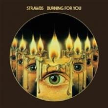  BURNING FOR YOU (REMASTERED & EXPANDED EDITION) - suprshop.cz