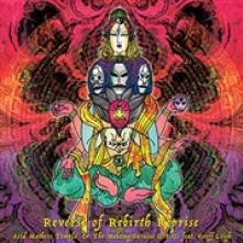 ACID MOTHERS TEMPLE  - CD REVERSE OF.. -BONUS TR-