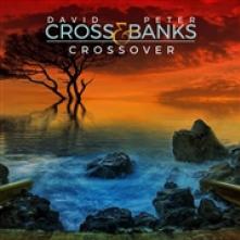 CROSS DAVID & PETER BANK  - CD CROSSOVER