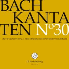 J.S.BACH-STIFTUNG/LUTZ RUDOLF  - CD KANTATEN NO°30