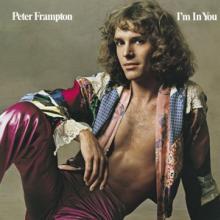 FRAMPTON PETER  - CD I'M IN YOU