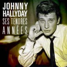  SES TENDRES ANNEES -HQ- [VINYL] - suprshop.cz