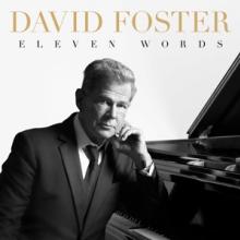FOSTER DAVID  - CD ELEVEN WORDS