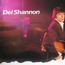 SHANNON DEL  - CD DROP DOWN AND GET..