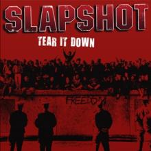  TEAR IT DOWN -EP- [VINYL] - supershop.sk