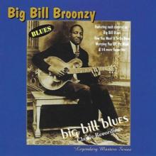 BROONZY BIG BILL  - CD BIG BILL BLUES