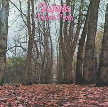 TWINK  - CD THINK PINK -ANNIVERS-