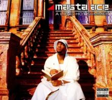 MASTA ACE  - CD LONG HOT SUMMER