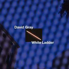 GRAY DAVID  - 2xCDG WHITE LADDER 20TH ANNIVERS