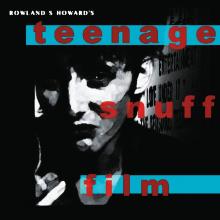 HOWARD ROWLAND S.  - VINYL TEENAGE SNUFF FILM [VINYL]