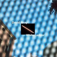 GRAY DAVID  - 2xVINYL WHITE LADDER..