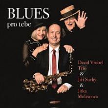 VROBEL DAVID TRIO & JIRI SUCH  - CD BLUES PRO TEBE