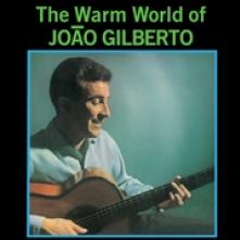GILBERTO JOAO  - VINYL WARM WORLD OF... [VINYL]
