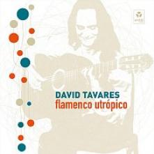 TAVARES DAVID  - CD FLAMENCO UTROPICO