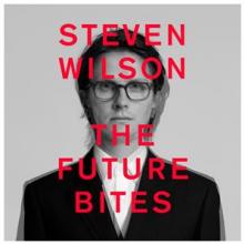 WILSON STEVEN  - VINYL THE FUTURE BIT..