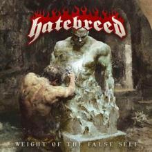  WEIGHT OF THE FALSE SELF [VINYL] - supershop.sk