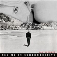  SEE ME IN SYNCHRONICITY [VINYL] - suprshop.cz