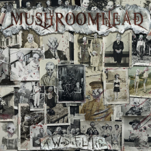 MUSHROOMHEAD  - CD A WONDERFUL LIFE