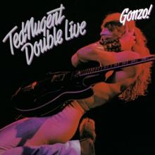 NUGENT TED  - 2xVINYL DOUBLE LIVE ..