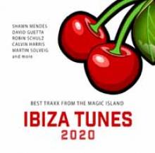 VARIOUS  - CD+DVD IBIZA TUNES 2020 (2CD)