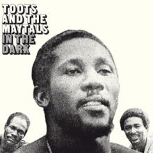 TOOTS & THE MAYTALS  - VINYL IN THE DARK -H..