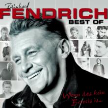 FENDRICH RAINHARD  - 2xCD BEST OF - WENN ..