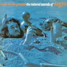  SEEDS ON THE GROUND - THE NATURAL SOUNDS OF AIRTO / OCEAN BLUE -COLOURED- [VINYL] - suprshop.cz