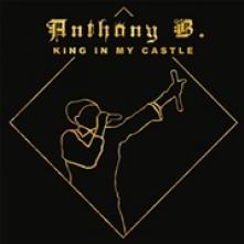 B ANTHONY  - 2xVINYL KING IN MY CASTLE [VINYL]