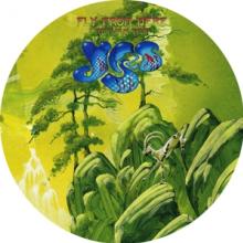  FLY FROM HERE ~ RETURN TRIP: 180GSM PICTURE DISC L [VINYL] - suprshop.cz