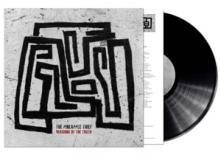 PINEAPPLE THIEF  - VINYL VERSIONS OF THE TRUTH [VINYL]