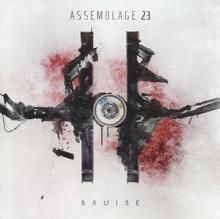 ASSEMBLAGE 23  - CD BRUISE