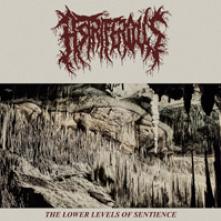 ASTRIFERIOUS  - CD LOWER LEVELS OF SENTIENCE