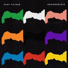 AVIDAN ASAF  - VINYL ANAGNORISIS [VINYL]