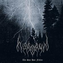  THE SUN HAS FALLEN [VINYL] - supershop.sk