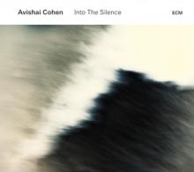 COHEN AVISHAI  - VINYL INTO THE SILENCE 2LP [VINYL]