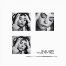 OLSEN ANGEL  - CD WHOLE NEW MESS