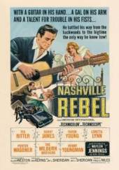  NASHVILLE REBEL / NTSC/ALL REGIONS//W/COSIN JODY/WAYLON JENNINGS/A.O. - suprshop.cz