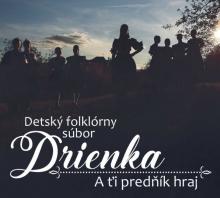 DETSKY FOLKLORNY SUBOR DRIENKA  - CD A TI PREDNIK HRAJ