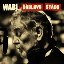 DANEK WABI  - VINYL WABI A DABLOVO STADO [VINYL]