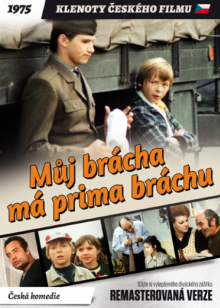 FILM  - DVD MUJ BRACHA MA PR..