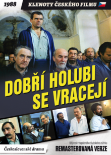 FILM  - DVD DOBRI HOLUBI SE ..