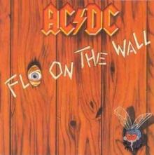 AC/DC  - VINYL FLY ON THE WALL [VINYL]