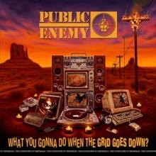 PUBLIC ENEMY  - CD WHAT YOU GONNA DO WHEN..