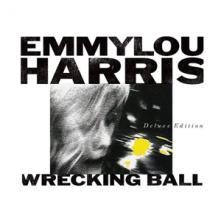  WRECKING BALL [VINYL] - suprshop.cz