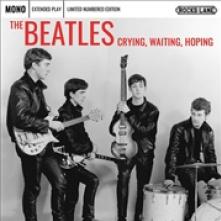  CRYING. WAITING. HOPING [VINYL] - supershop.sk