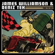 WILLIAMSON JAMES & DENIZ TEK  - VINYL TWO TO ONE [VINYL]