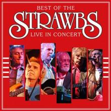 STRAWBS  - VINYL LIVE IN CONCERT -2006- [VINYL]