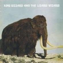 KING GIZZARD & THE LIZARD WIZA  - VINYL POLYGON.. -COLOURED- [VINYL]