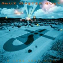 BLUE OYSTER CULT  - VINYL LONG DAYS NIGHT (LIVE.. [VINYL]