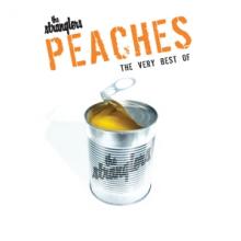  PEACHES: THE VERY BEST OF THE STRANGLERS [VINYL] - supershop.sk